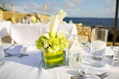 Decoration de mariage blanche et verte naturelle theme plage