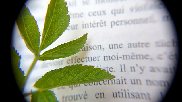 anteketborka.blogspot.com, livre9