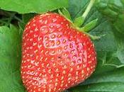 Calendrier lunaire juin 2012