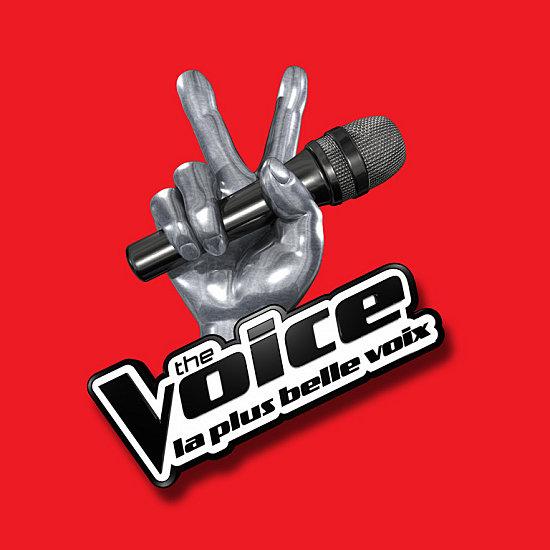 The Voice: La tournée!