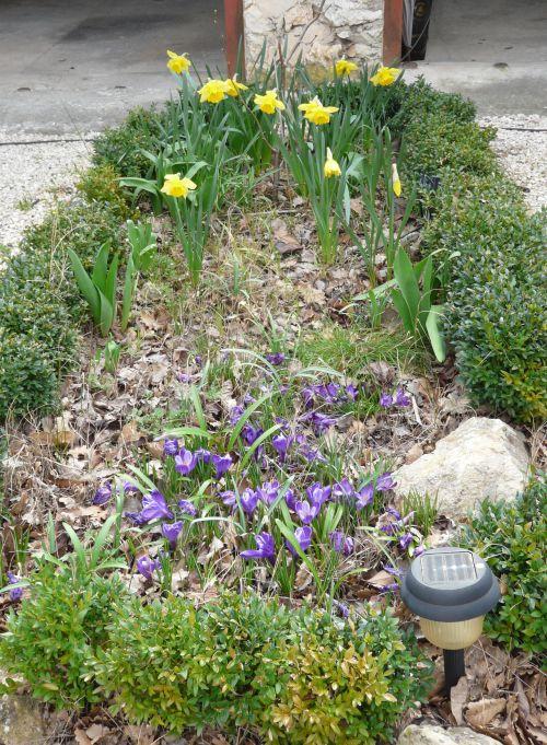 Les jardins se réveillent ! Journaux des 18 et 25 mars 2012