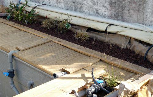 Plantation dans la zone de lagunage (suite) !