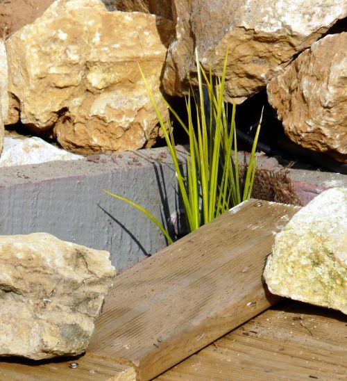 Plantation dans la zone de lagunage (suite) !