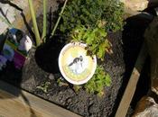 semaine bien printanière Journal mars 2012