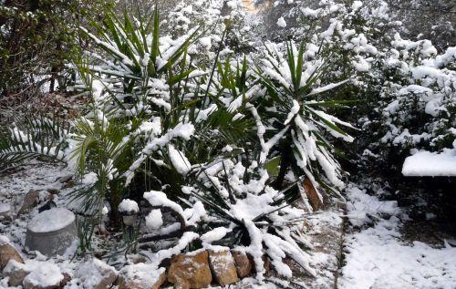 Une neige en abondance sur notre jardin ! Journal du 11 février 2012