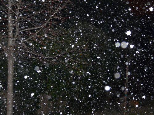 Il neige ! Journaux des 28 janvier et 4 février 2012