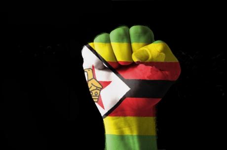 afrique,zimbabwe,film,liberté,printemps arabe,politique,droits humains,actualité,robert mugabe