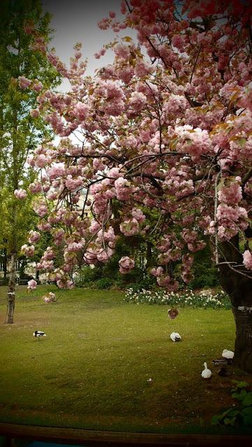 Japonisme : mawari michi 回り道