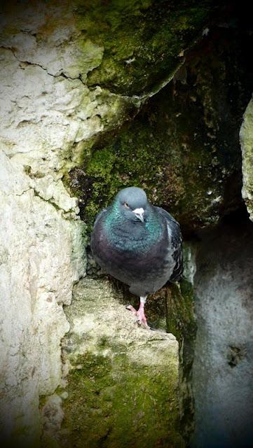 Japonisme : mawari michi 回り道