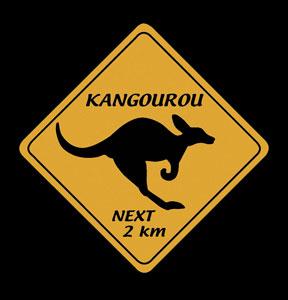 Un nouveau Kangourou Gris au Parc Australien…