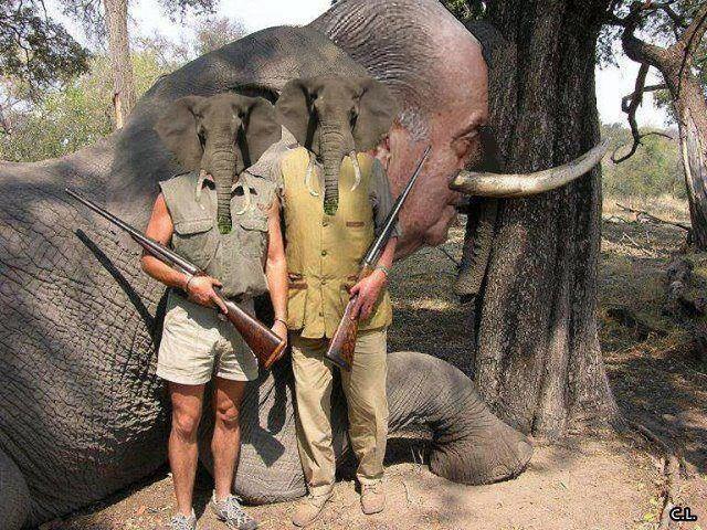 Juan Carlos d'Espagne: nous sommes tous des éléphants!