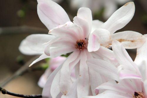 gb 9 avril 2012 117.jpg