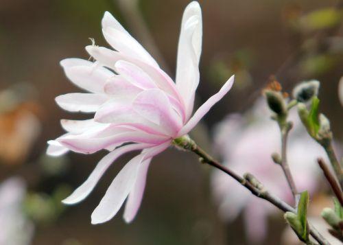 gb 9 avril 2012 120.jpg