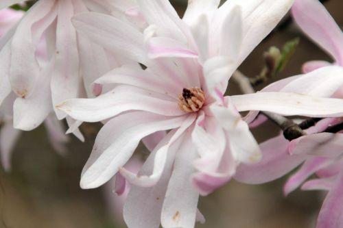 gb 9 avril 2012 118.jpg