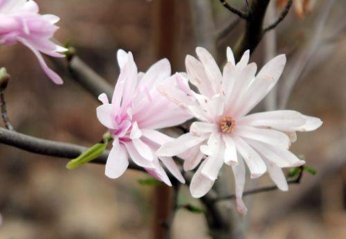 gb 9 avril 2012 121.jpg