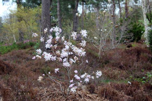 gb 9 avril 2012 116.jpg