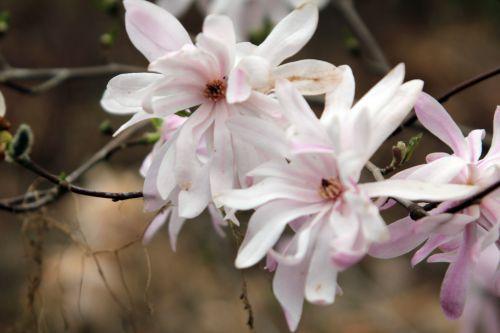 gb 9 avril 2012 119.jpg