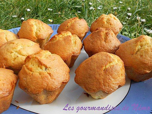 muffins-poires-kiwi--3-.JPG