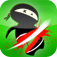 Stupid Ninjas (AppStore Link) 