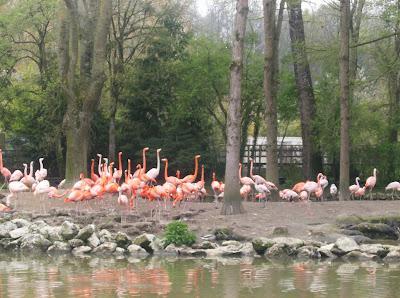 Beauval, le plus grand zoo de France