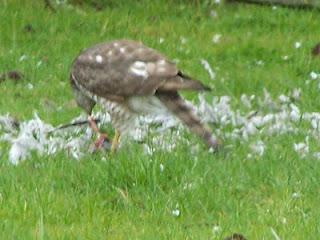 Il faut que je vous raconte ce qui s'est passé dans mon j...