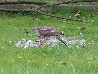 Il faut que je vous raconte ce qui s'est passé dans mon j...