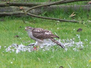Il faut que je vous raconte ce qui s'est passé dans mon j...