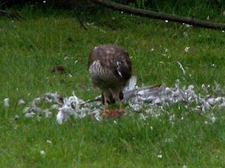 Il faut que je vous raconte ce qui s'est passé dans mon j...