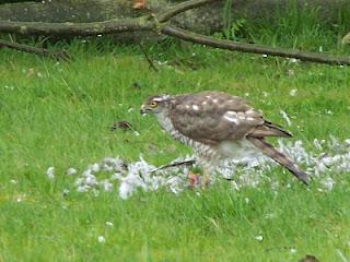 Il faut que je vous raconte ce qui s'est passé dans mon j...