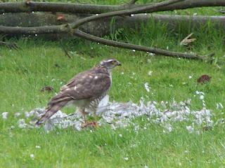 Il faut que je vous raconte ce qui s'est passé dans mon j...