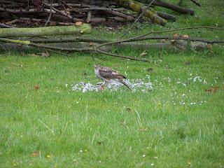 Il faut que je vous raconte ce qui s'est passé dans mon j...