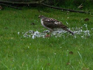Il faut que je vous raconte ce qui s'est passé dans mon j...