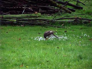 Il faut que je vous raconte ce qui s'est passé dans mon j...