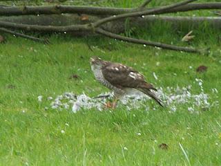Il faut que je vous raconte ce qui s'est passé dans mon j...