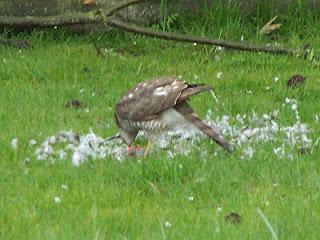 Il faut que je vous raconte ce qui s'est passé dans mon j...