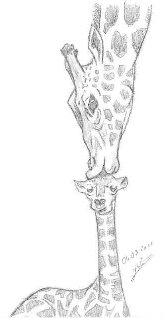 Retour aux bases: les animaux