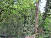 argousiers indépendants