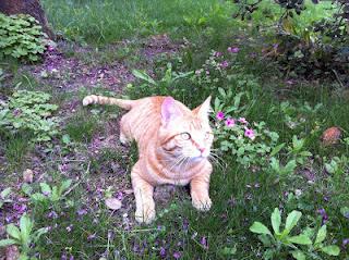 Prendre du recul (la fuite)