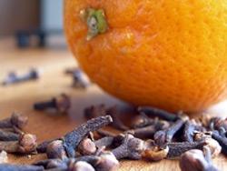 orange,citron,clous de girofle,senteurs,environnement,air,pollution