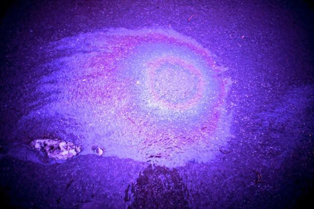 Color me your color baby, color me your car...