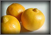Citrons-bergamote-copie-1.jpg