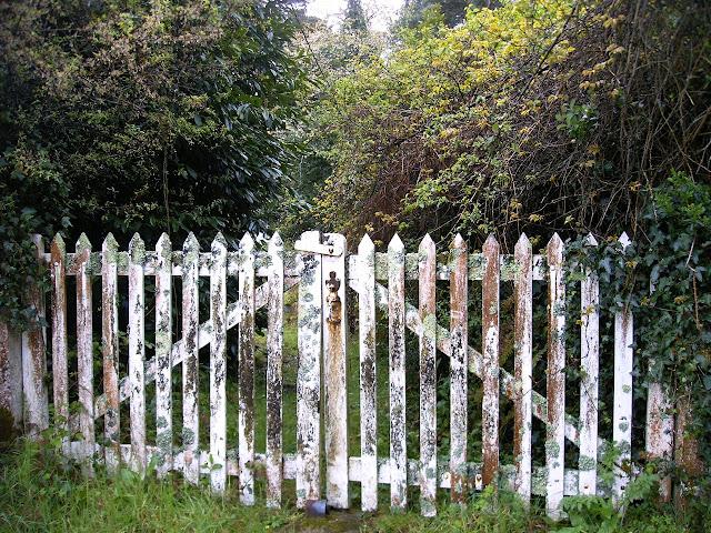 le complexe de l'Isle à marée basse