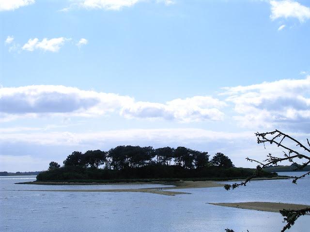 le complexe de l'Isle à marée basse