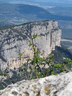 Randonnée au Pic Saint Loup (34)