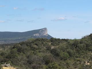 Randonnée au Pic Saint Loup (34)