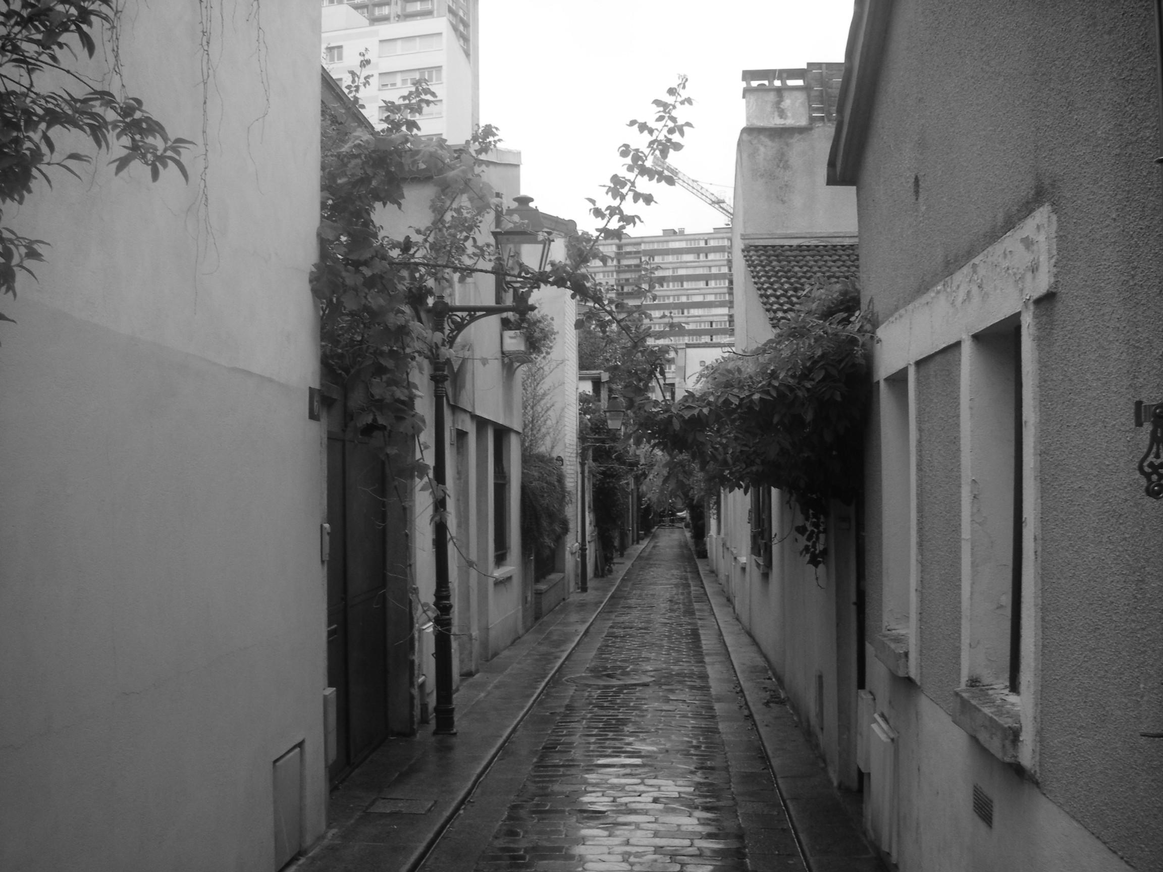 Les Vignes du Passage Bourgoin