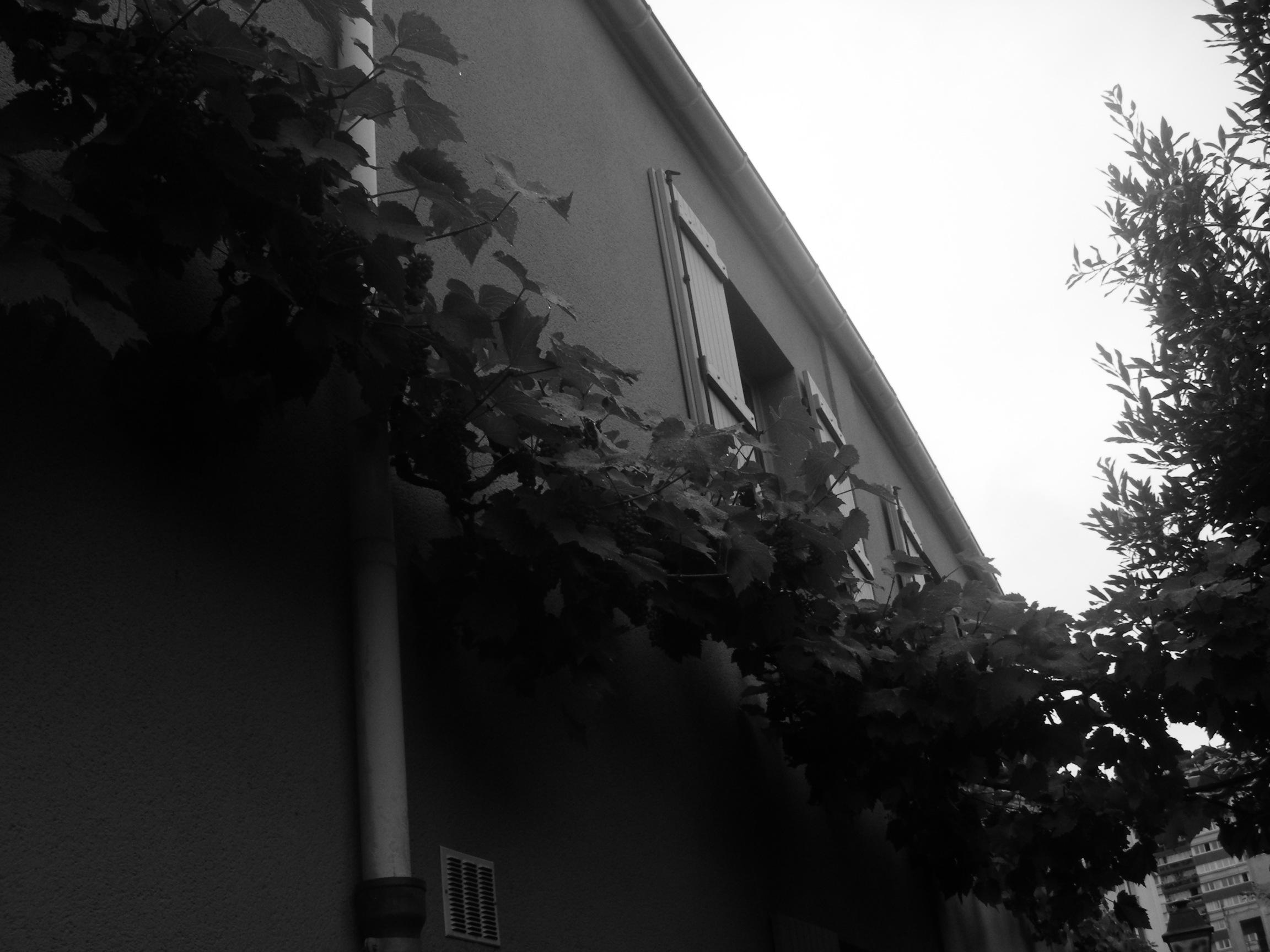 Les Vignes du Passage Bourgoin