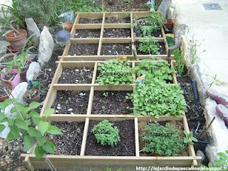Mon jardin de simple