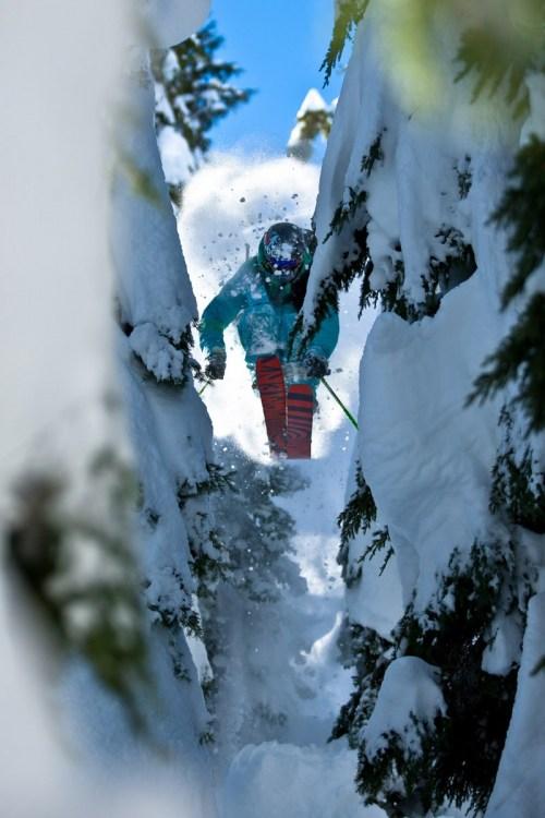 PARCE QUE NOUS SOMMES TOUJOURS EN HIVER