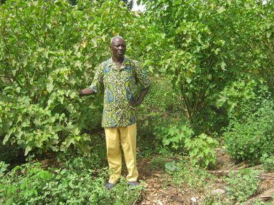 Photo (c) Alain Tossunon